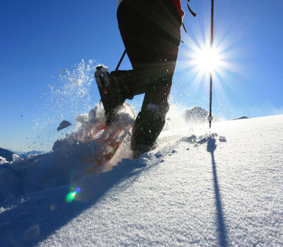 WINTER, WUNDER, VIELFALT